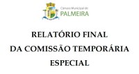 Comissão Especial Protocola Relatório Final
