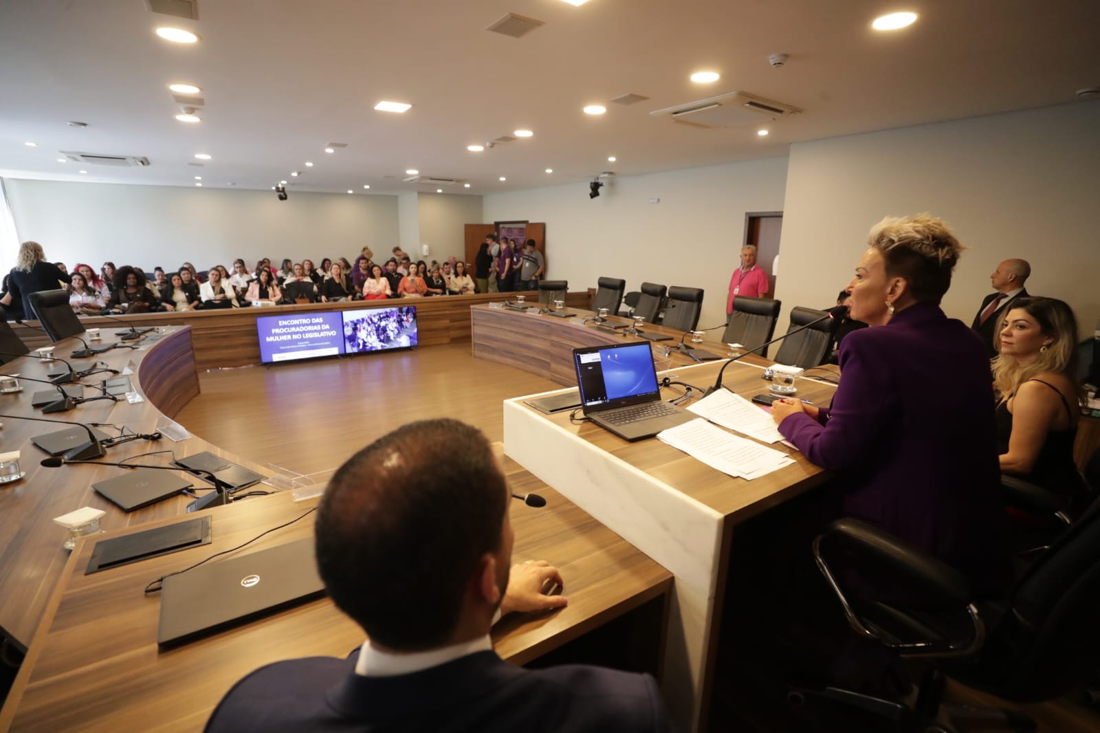 Procuradoria da Mulher de Palmeira marca presença em evento na Assembleia Legislativa do Paraná